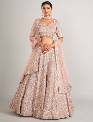 Beautiful onion hue net lehenag choli 