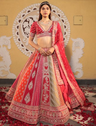 Amazing multi color lehenga choli