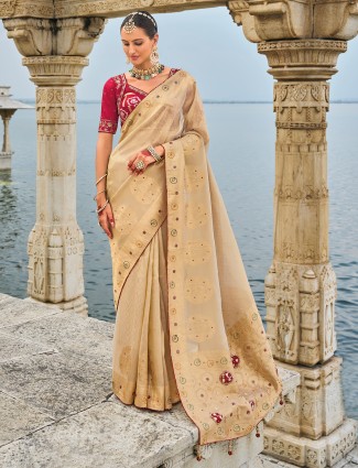 Stunning chiku kanjivaram silk saree