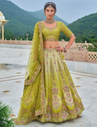 Heart melting light green silk lehenga choli