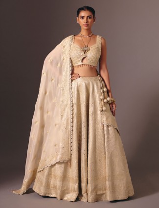Brown silk lehenga choli with stunning ready made blouse
