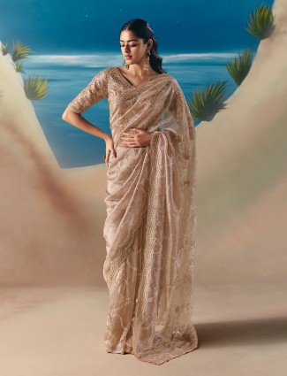Beige satin organza elegant shimmer saree