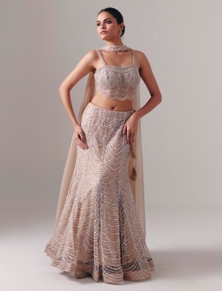 Beige net lehenga choli with dupatta