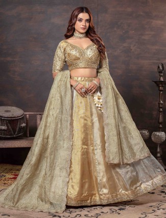 Multicolor heavy weaving tissue silk lehenga choli