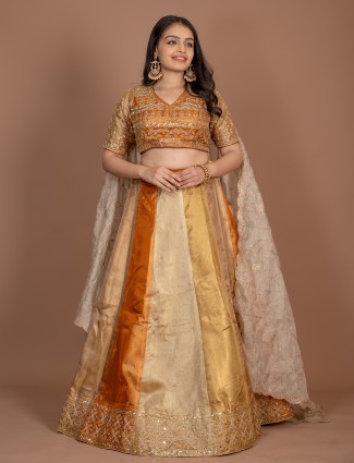 Multicolor tissue silk lehenga choli with artistic mirror work