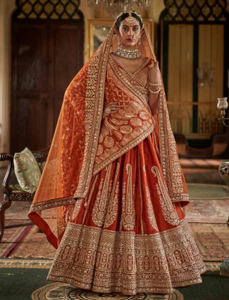 Brown silk lehenga choli with stunning ready made blouse