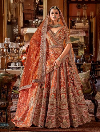 Brown silk lehenga choli with stunning ready made blouse
